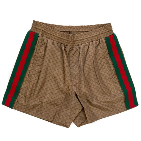 gucci boxer